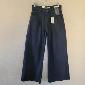 Levis Premium Dad High Rise Jeans Womens Size 25 Black Pleated Baggy Relaxed Nwt